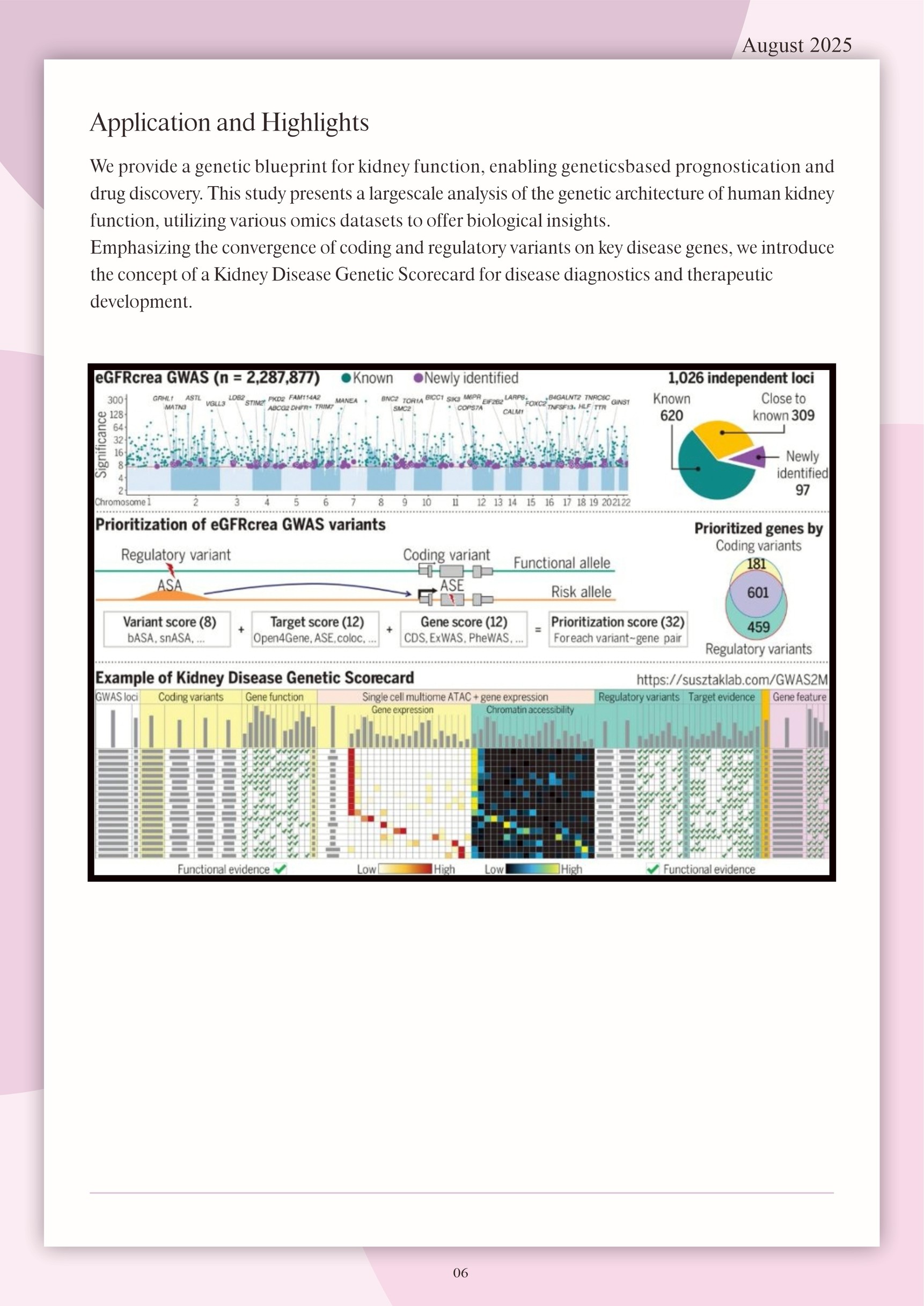 KMU Newsletter 06